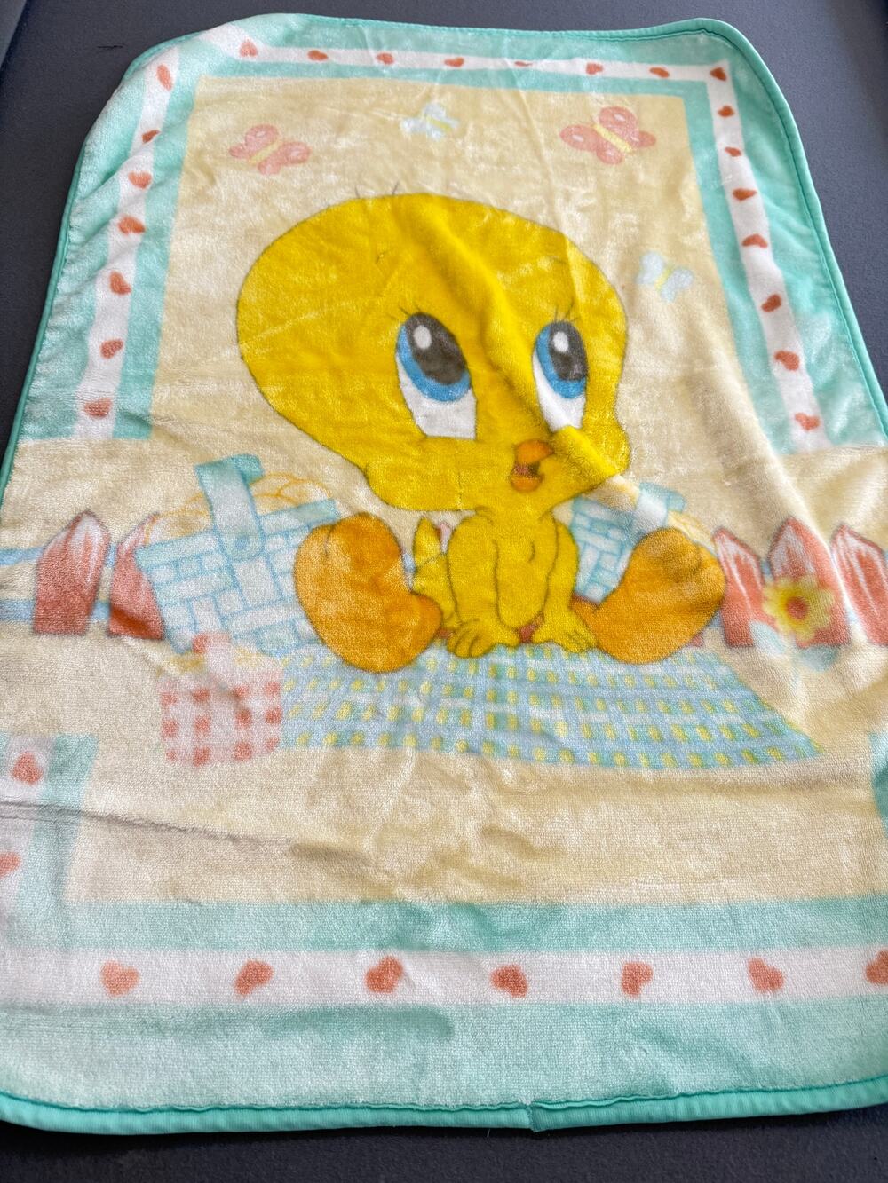 Vintage Baby Looney Tunes Tweety Bird Blanket Warner Bros 2002 Pastel Crib 41x30